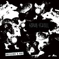 Sophie Scholl : Smelling a Rat